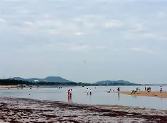  2024强军杯游泳比赛 
