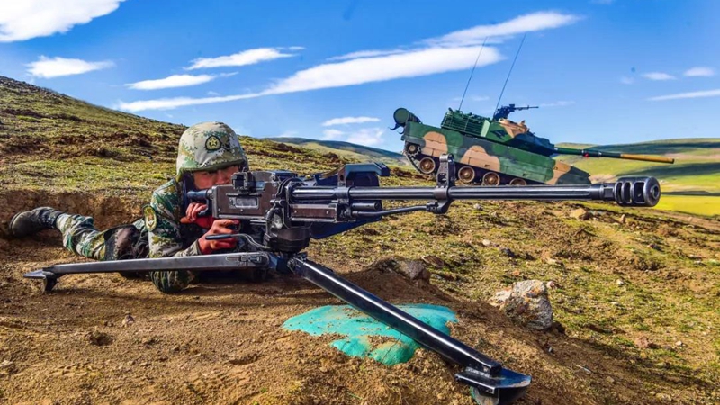 夏洛的网逃走感受